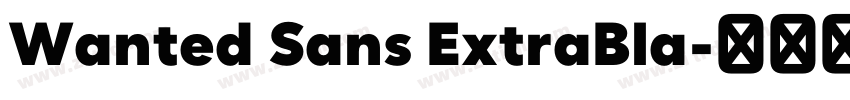 Wanted Sans ExtraBla字体转换